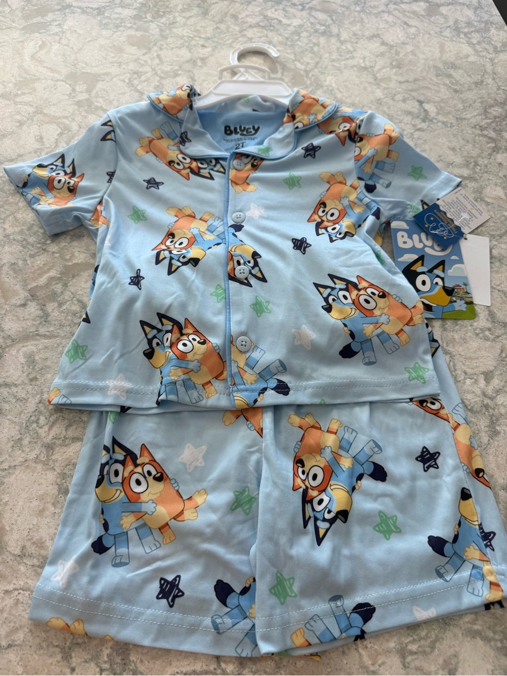 NWT AME Bluey Sisters & Hugs Pajama Set Boys Size 2T
